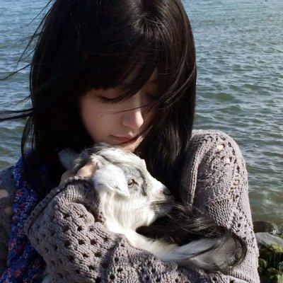 神台猫 海报